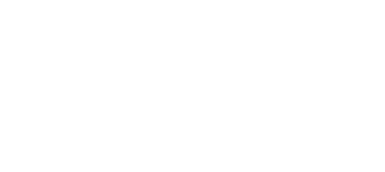 Logo footer antoine